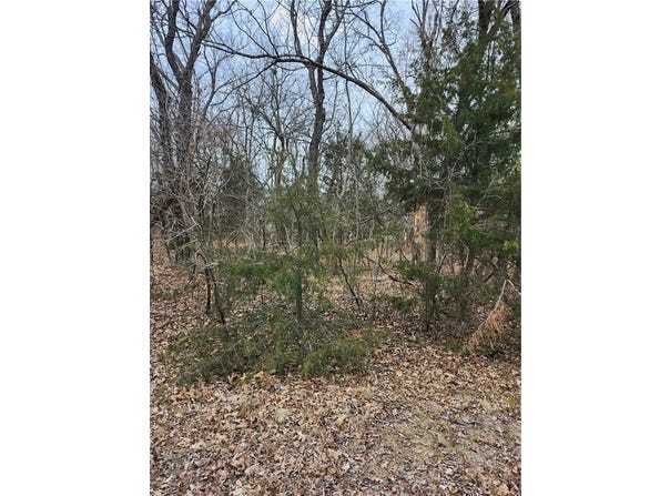 13 Silver Lane, Linn Valley, KS 66040