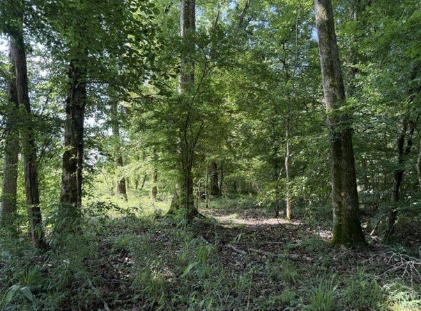 949 Ford Road, Homer, LA 71040
