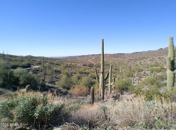E Silver Tip Road, Queen Valley, AZ 85118