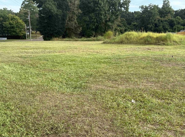 426 Three Notch St, Andalusia, AL 36421-6007