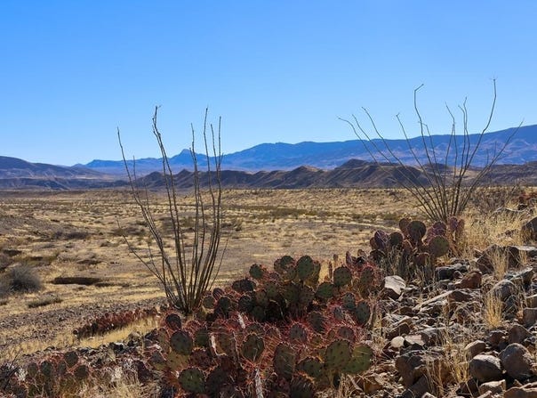 Chispa Rd, Presidio, TX 79854