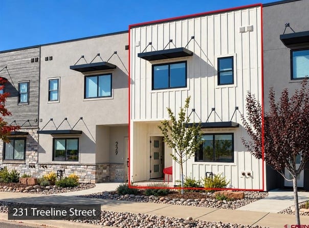 231 Treeline Street, Durango, CO 81301
