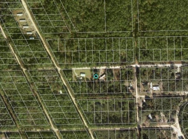 711 HICKORY NUT Trail, SATSUMA, FL 32189