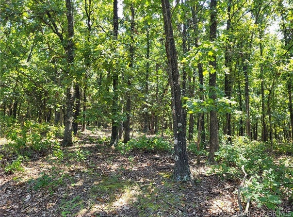 Trinchera Road, Edwards, MO 65326