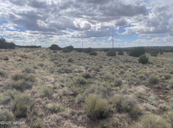 01 Aspen Drive, Concho, AZ 85924
