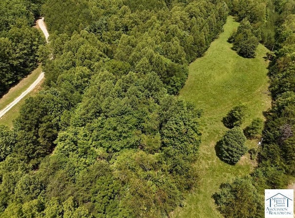 Willard Creek Ln, Stuart, VA 24171