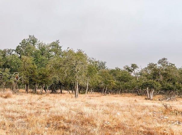 Nott Branch Rd lot: 35, Harper, TX 78631