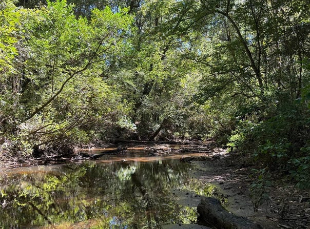 22500 Highway 31, Evergreen, AL 36401
