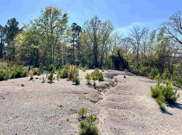 4664 E Grand Ave, Hot Springs, AR 71901