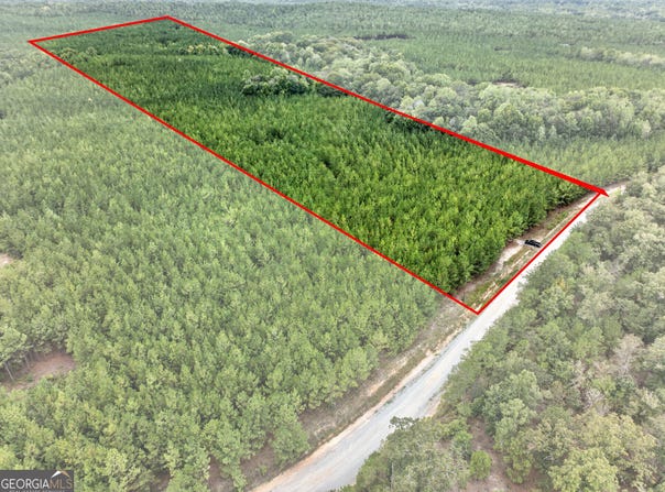 SW Black Creek Road, Gordon, GA 31031