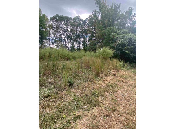 Burns Road, Greer, SC 29651