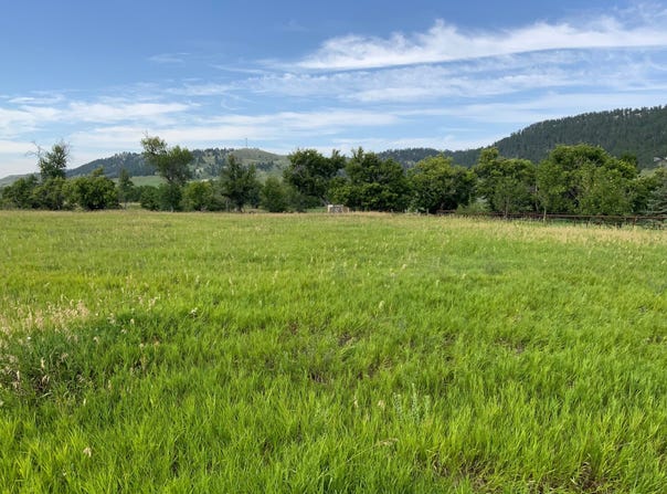 21746 Sidney Stage Road, Piedmont, SD 57769