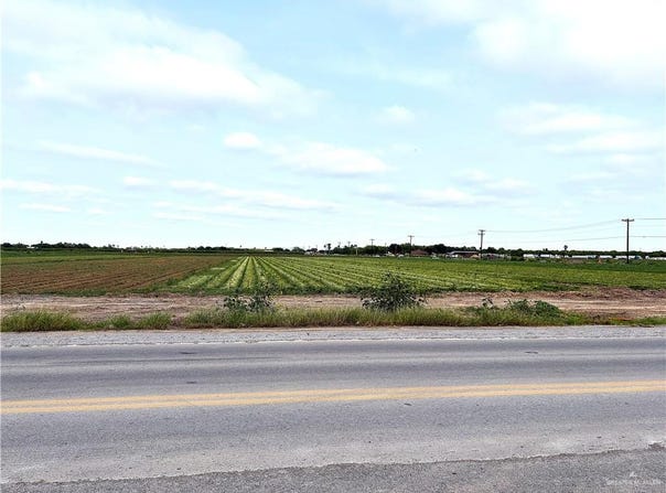 N Cesar Chavez Road, Alamo, TX 78516