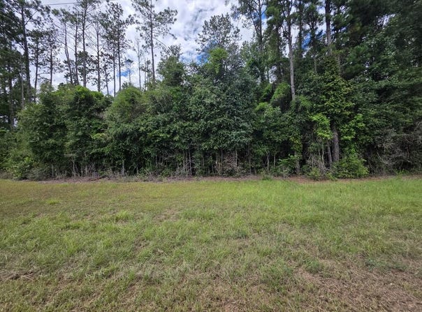 0 LOT 4 ROSALYN RD, Georgetown, GA 39854