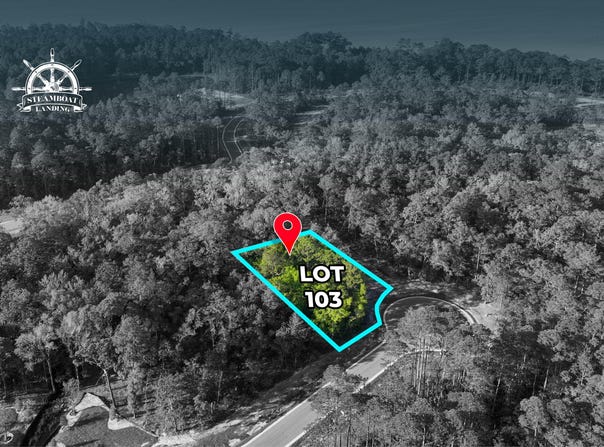 Perseverance Point lot: 103, Freeport, FL 32439
