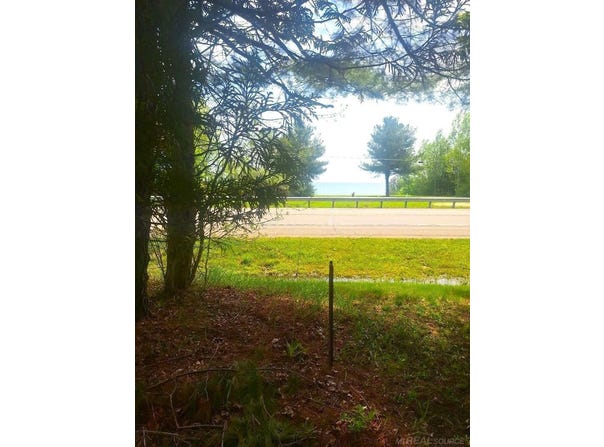 Parcel 2 Lakeshore Road, Applegate, MI 48401