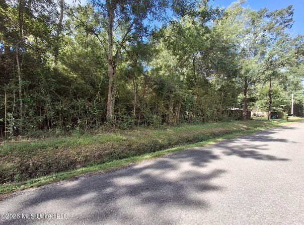 0 Cherry Lot 77-80, Pearlington, MS 39572