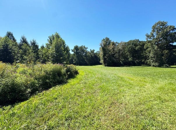Rawlsdale Rd, Courtland, VA 23837