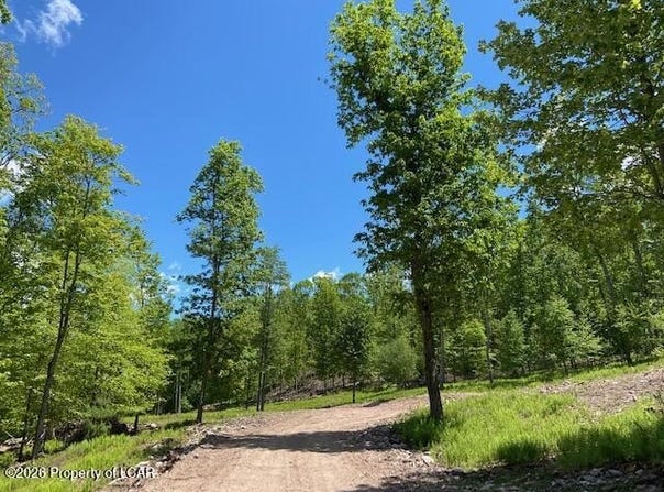 Edge Rock Drive, Beech Mountain Lakes, PA 18222