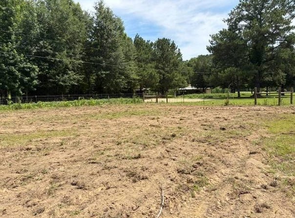 Tupelo Rd, Dozier, AL 36028