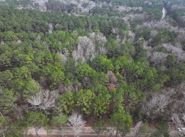 Silva Drive lot: 1, Hamilton, GA 31811