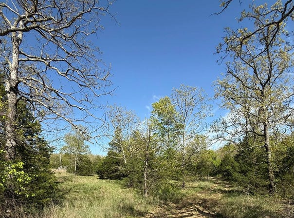 149 N Roanoke Rd, Salem, MO 65560