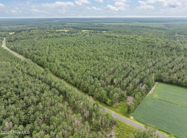 Stilley Town Road, Edward, NC 27821