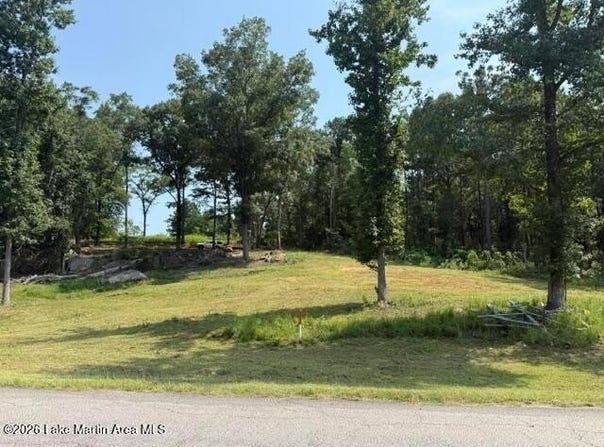 1051 PATRICK Street, WAVERLY, AL 36879