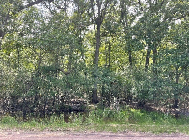 County Road 750, Thornton, TX 76687
