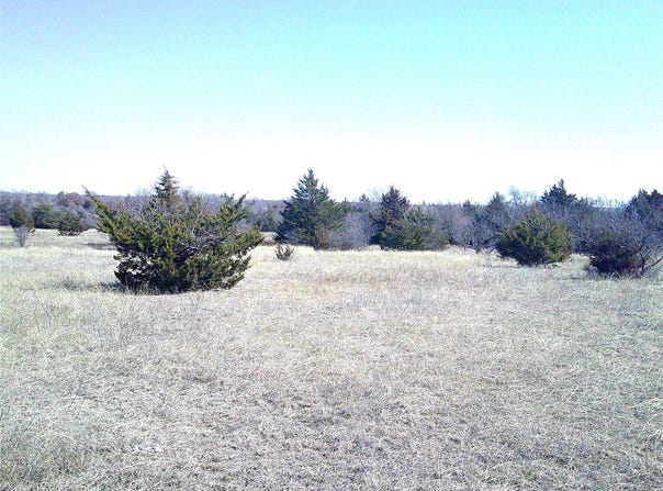 Tr 5 CR 1750, Chico, TX 76431