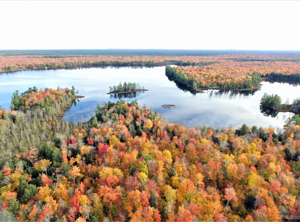 Nevins Lake Drive, Shingleton, MI 49884