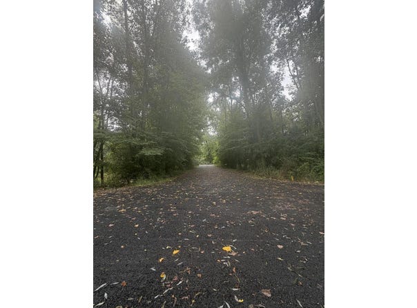 Heather Ridge Road lot: 6 Phase 2, Marshall, MI 49068