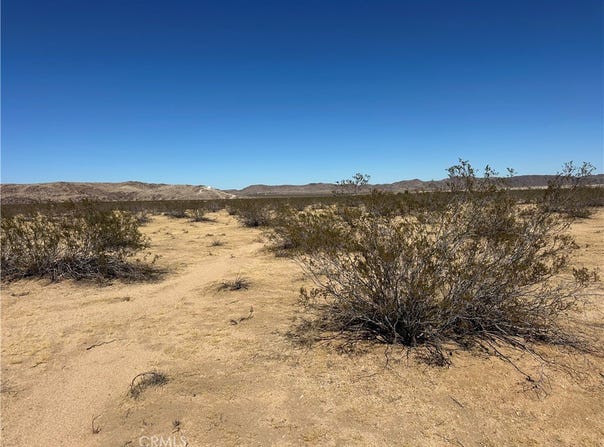 Delaware, Joshua Tree, CA 92252