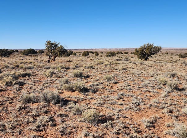 496 CR 5152, Concho, AZ 85924