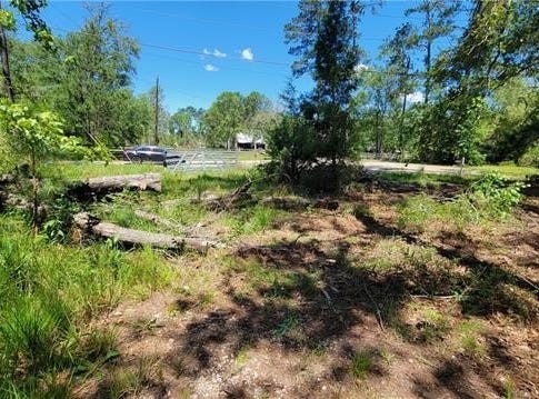 26140 OAK ALLEY Drive, Holden, LA 70744