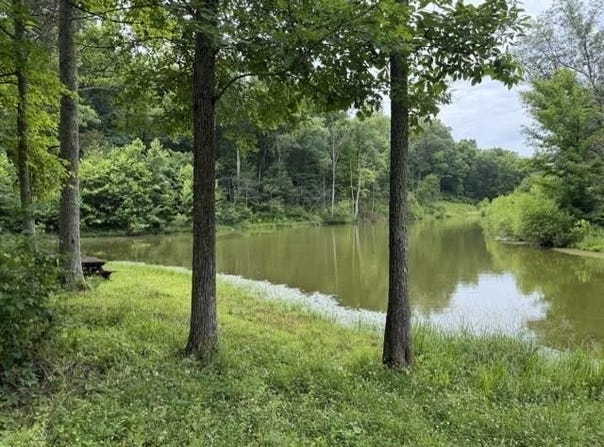 Pea Ridge Rd., Mount Olivet, KY 41064