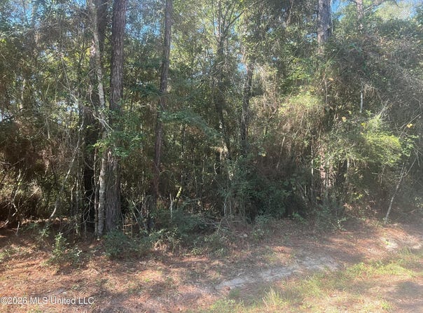 Darling Road, Pass Christian, MS 39571