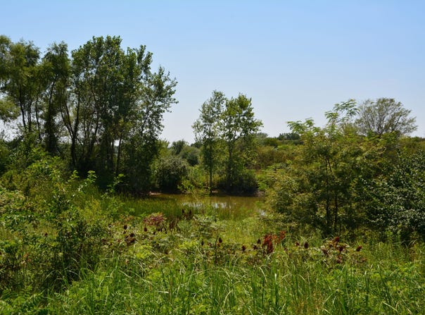 E 63rd Rd, Lecompton, KS 66050