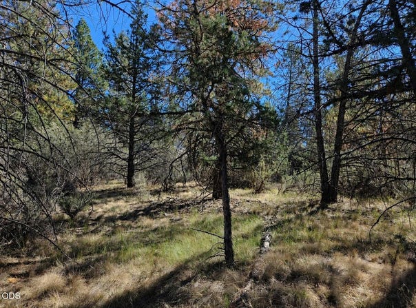 Jaguar Lane, Bonanza, OR 97623