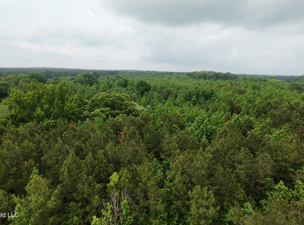 6936 Hillsboro-ludlow Road, Forest, MS 39074