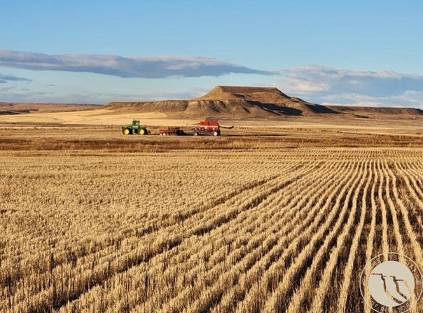 Gee Road, Rapelje, MT 59067