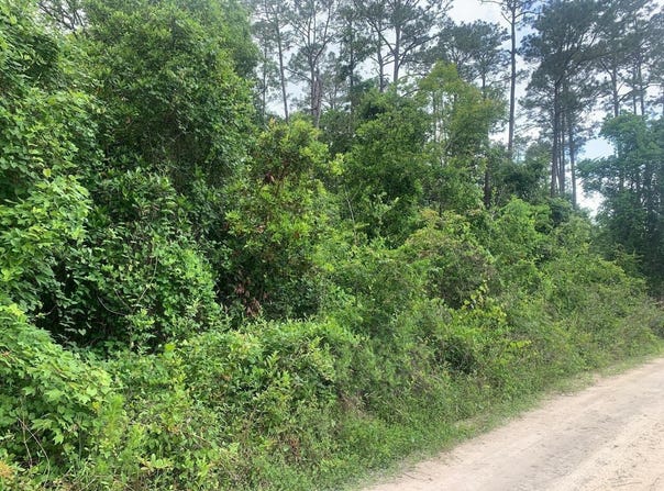 Coot Drive, Satsuma, FL 32189
