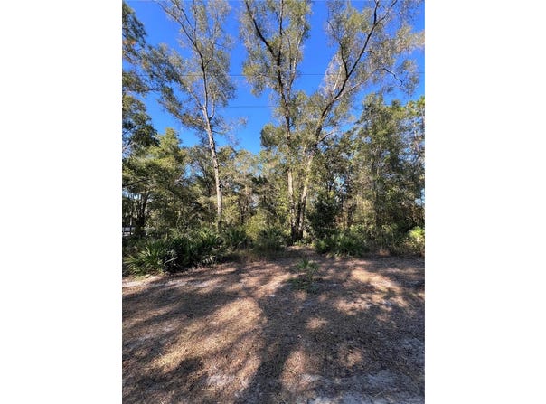 SE 179TH Place, SUMMERFIELD, FL 34491