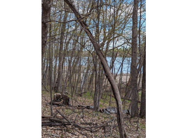 Paradise Drive, Browerville, MN 56438