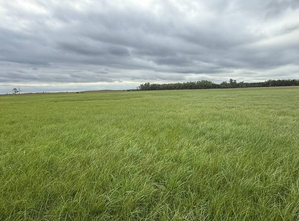 80 +/- Acres, Holt County, Inman, NE 68742