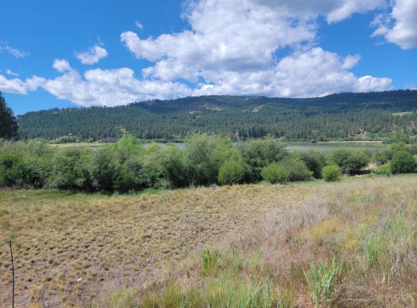 CURLEW Dr, REPUBLIC, WA 99166