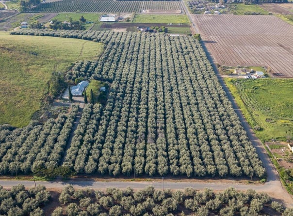 Avenue 234, Lindsay, CA 93247