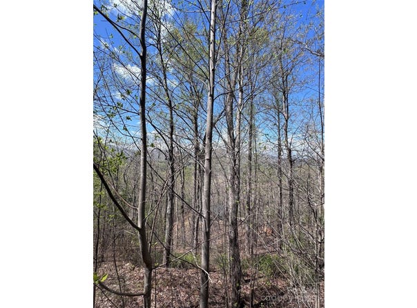 High Pines Loop, Lake Lure, NC 28746