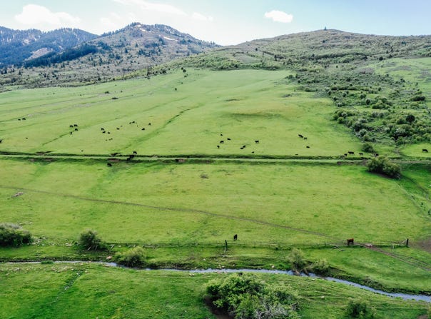 6746 N CAPITOL Rd, Preston, ID 83263