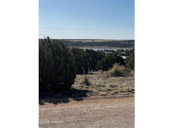 60 Short Lane, Concho, AZ 85924